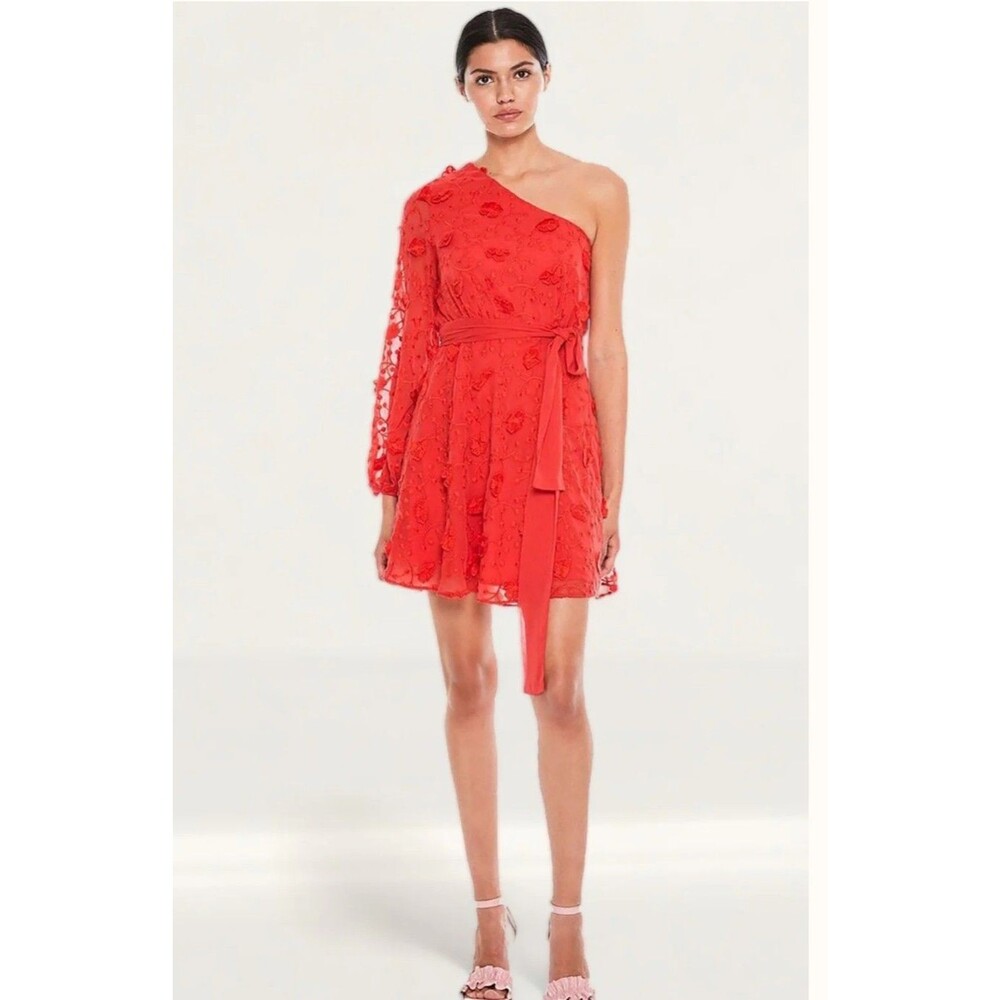 Aritzia Talula Scarlet Ruffle Mini Dress Medium Women One Shoulder Sleeve Floral